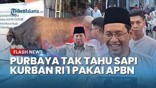 Purbaya Ngaku Tak Tahu Sapi Kurban Prabowo Pakai APBN, Mengira Pakai Uang Sendiri