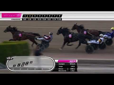 Elitloppet Final Gr1 2023 - Hohneck