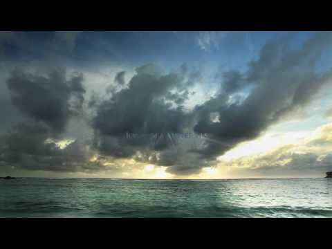 The Maqui Berry Story