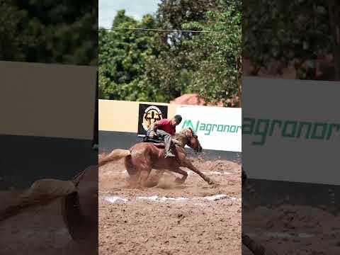 (Vaquejada do Parque Bola Boi em São João do Paraíso - MA.)