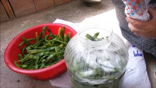 Fasulye Turşusu Nasıl Yapılır?