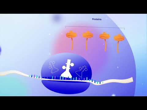 Pfizer’s mRNA Innovation | 3D Animation Explainer | Pfizer