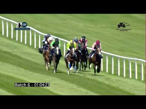 Irish EBF Barrier Trials 29 May 2023 - Batch 06