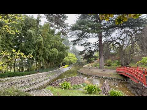 Le jardin Japonais du musée Albert Kahn
