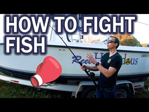 How to Fight Fish
