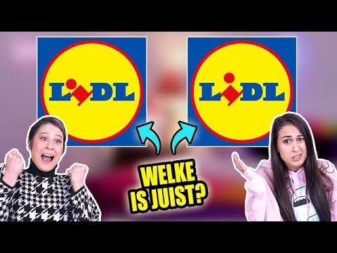 REAL vs. FAKE LOGO CHALLENGE! with MY SISTER MEA-LY || Fan Friday
