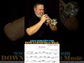 🍏Cornet or 🍊Tuba??? #bach #arioso #cornet #trumpet #tuba #comparison