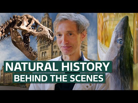 Behind The Scenes At The Natural History Museum! | Our History