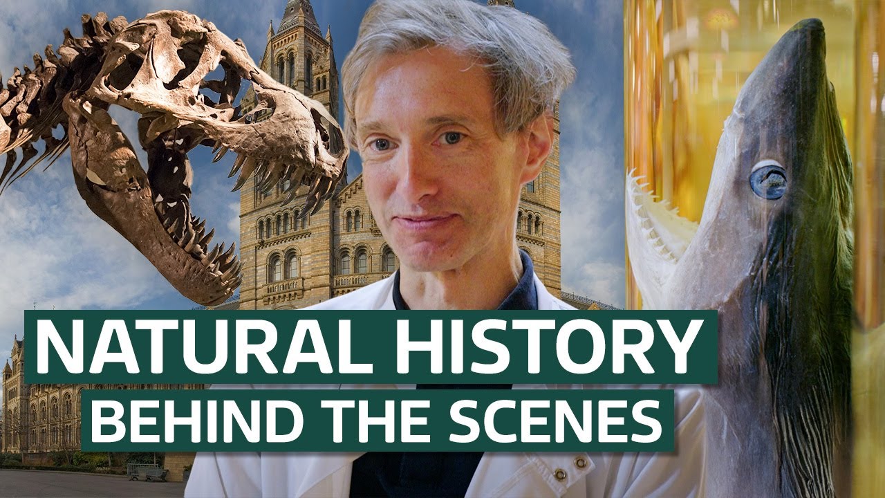 Behind The Scenes At The Natural History Museum! | Our History