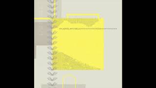 Vladislav Delay - Viisari