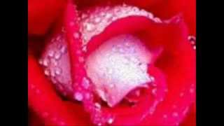 All I Need (with Lyrics).wmv
