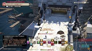 72歳のゲーム実況　　#FF14　#9 思いだし練習　ヘビー級4層