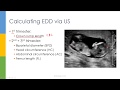 Learn OB GYN Introduction To Obstetetrics