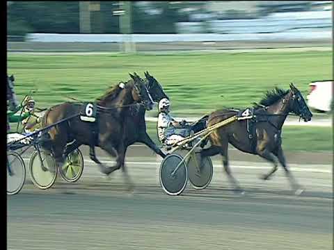 Trotto 24/09/2017 - 8ª corsa - G.P. Freccia d'Europa