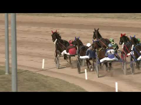 2021.03.27. 03. futam - BÚZAVIRÁG HENDIKEP