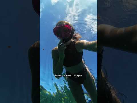 swim with me every day! DAY 1 🤿🧜🏼‍♀️  #islandlife