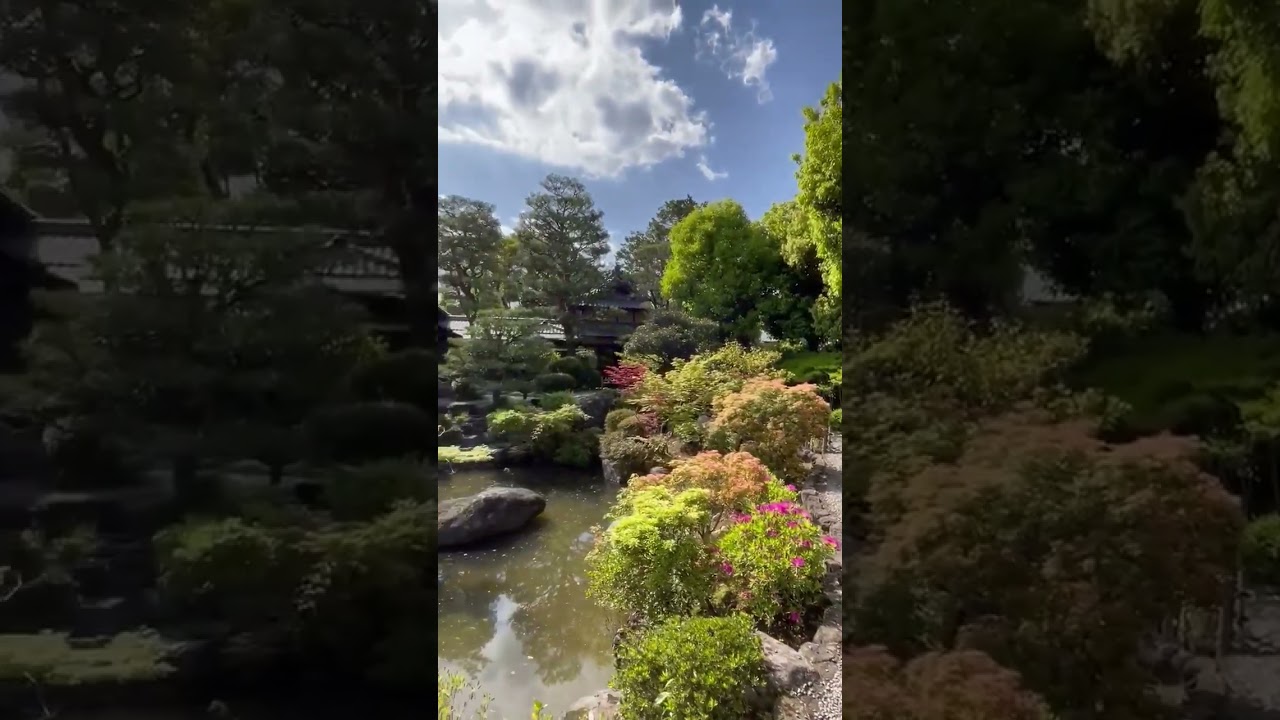 YouTube Short thumbnail