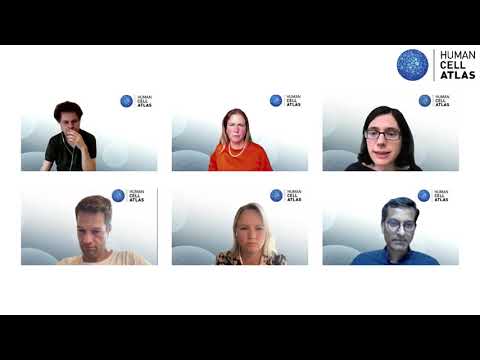 HCA General Meeting 2021 (virtual) - Querying the Atlas Panel