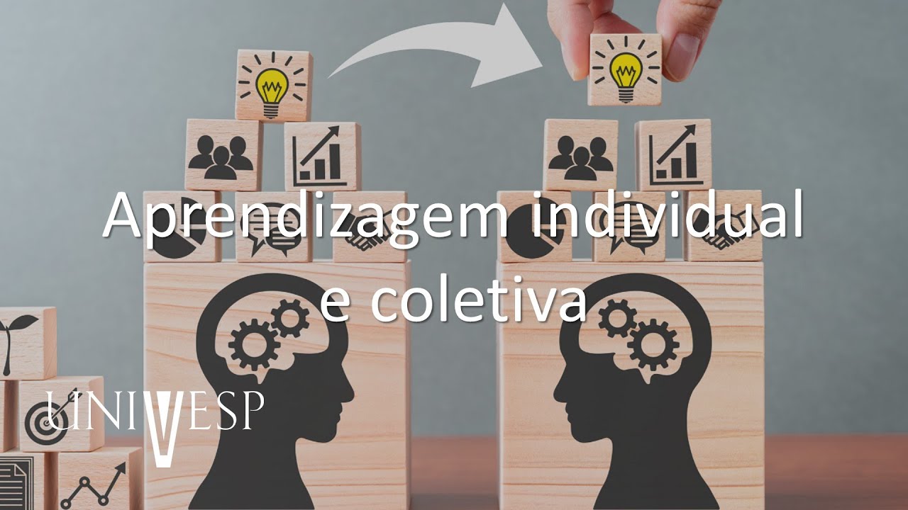 Aprendizagem e Gestão do Conhecimento - Aprendizagem individual e coletiva