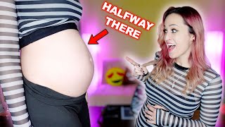 20 WEEK PREGNANCY UPDATE! Halfway to Baby!