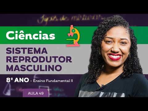 Male reproductive system – Science – 8th grade – Elementary School