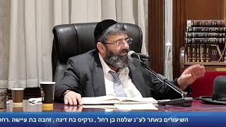 הרב אייל עמרמי - הלכות סוכות - ח' תשרי תשפ"ה (הרב אייל עמרמי) - התמונה מוצגת ישירות מתוך אתר האינטרנט יוטיוב. זכויות היוצרים בתמונה שייכות ליוצרה. קישור קרדיט למקור התוכן נמצא בתוך דף הסרטון