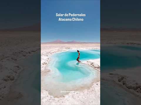 Já ouviu falar no Salar de Pedernales, no Atacama Chileno, próximo à cidade de Copiapó? 🤍✨
