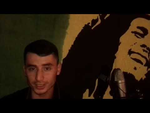 Tara202  (Сниппет)