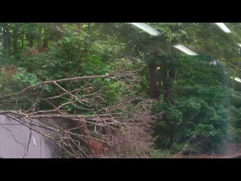 Class 455 Ride - Epsom Downs to Sutton [4K]