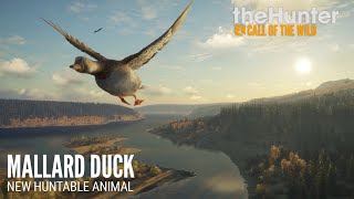【TheHunterCalloftheWild】ゲームでも狩りがしたい