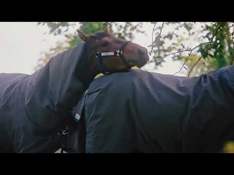 Rhino Hexstop Plus with Vari-Layer - Protection of the Horse, Des & Ellie