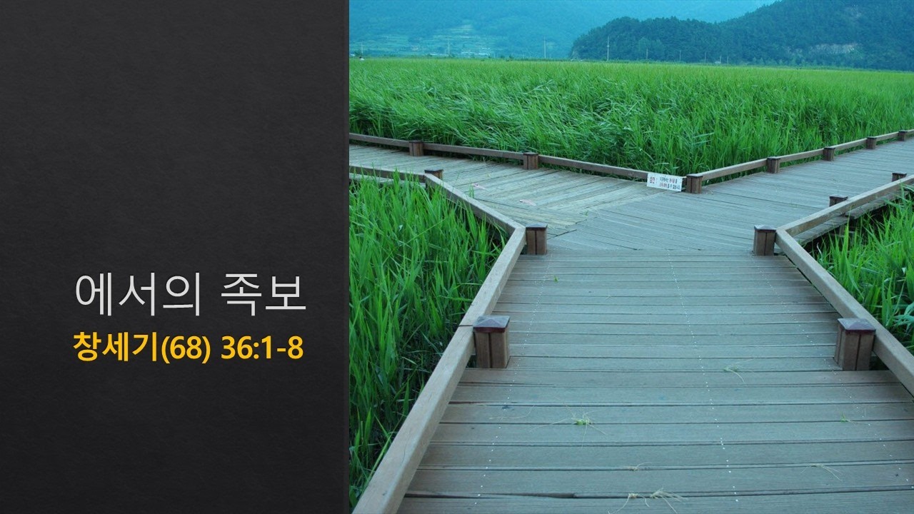설교기본이미지