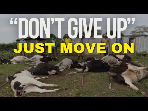 Facts of Hass Avocado Market Kenyan chapter