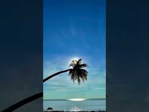 Andaman Nicobar Islands🏞️🏞️🏝️🏝️🏖️🏖️