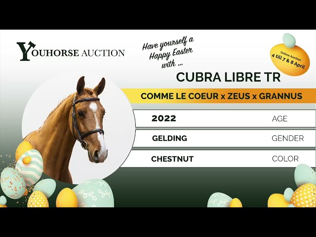 Cuba Libre TR flatworkvideo