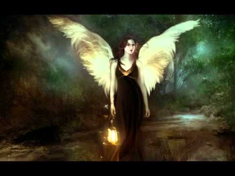 Angel - The Acorns