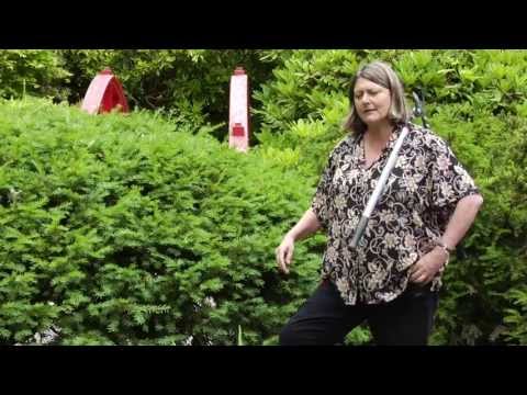 How to Prune Yews - Instructional Video w/ Plant Amnesty