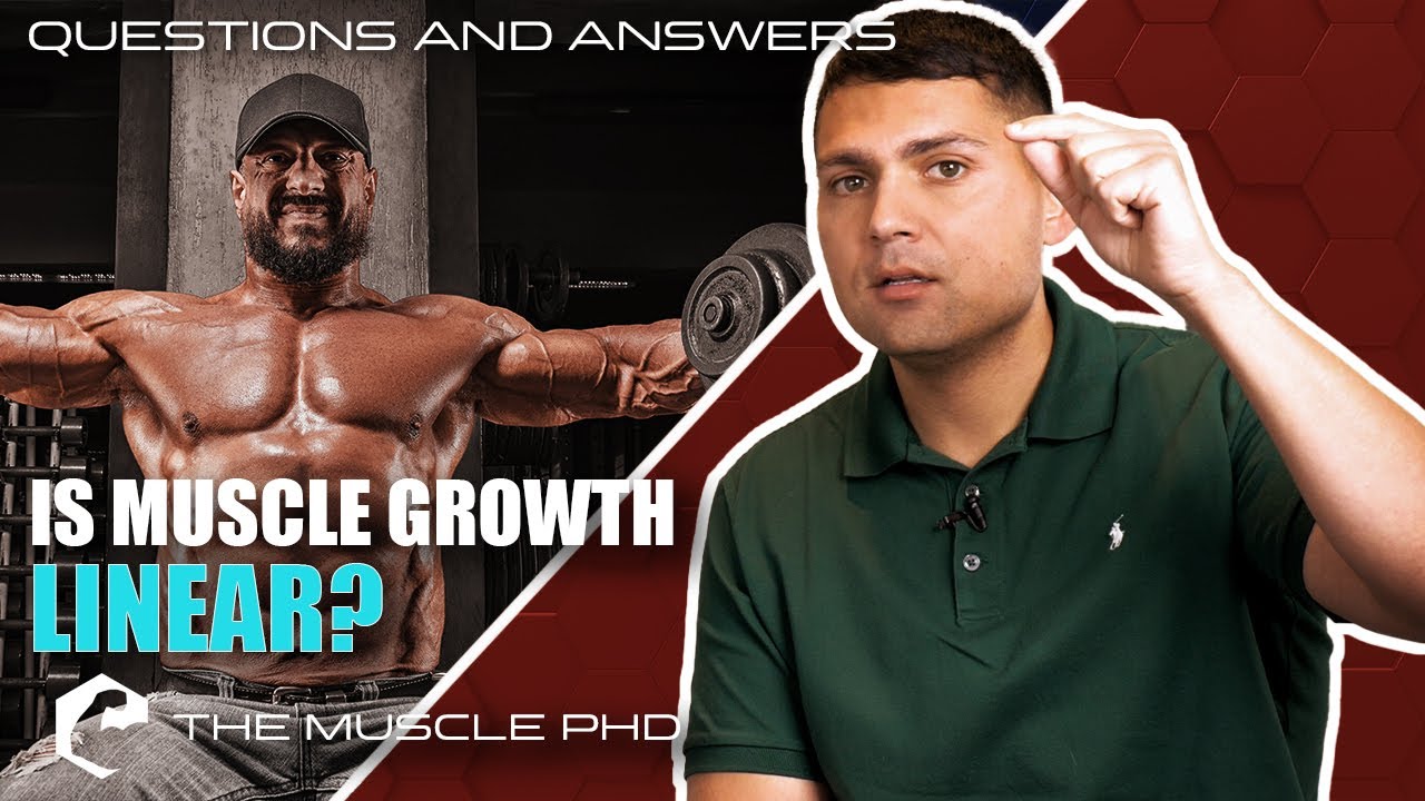 Why Is Muscle Growth So Slow?