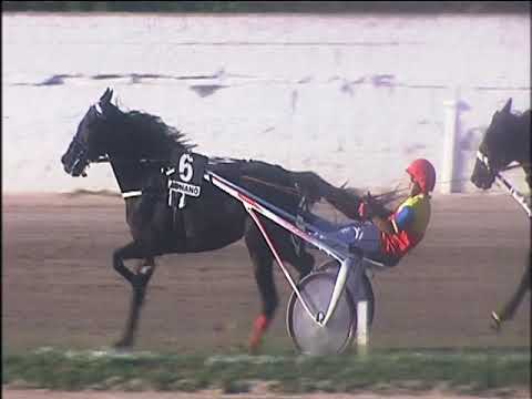 Trotto 04/10/2019 - 6ª corsa