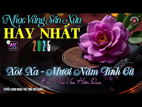Nhạc BOLERO Trữ Tình HAY NHẤT, Độc Lạ 2025 - Nhạc Vàng Sến Xưa Chọn Lọc CỰC HAY, CỰC SAY MÊ MẨN