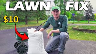 How to Grow Grass - Cheap Lawn Fix