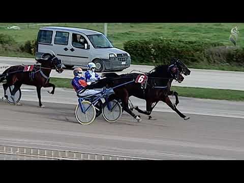 Aversa trotto 2 Gennaio 2021 - 2° Corsa