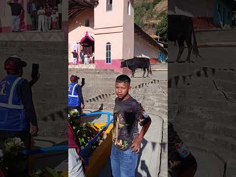 FIESTA DE CHORA 2026 - PALLASCA - ANCASH #tradiciones #costumbres #fiesta #fypシ゚viral