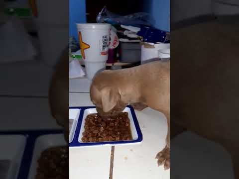 marichu chuyito vero