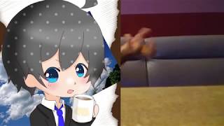 【ミックスボイス練習】不可逆リプレイス　歌ってみた！【カラオケ】