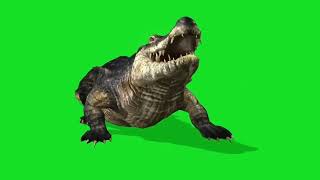 Download lagu green screen buaya mp3