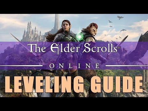 Elder Scrolls Online Beginner's Guide