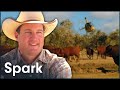 The Australian Farm So Big They Use Helicopters To Herd Cattle Big Australia