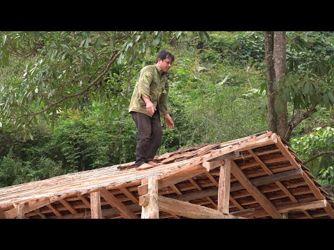 From prison bars to the deep jungle: life alone without electricity | From beginning to end