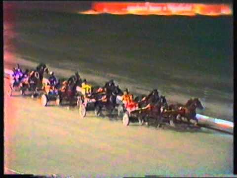 1984 Interdominions - Pacers' 11th Heat, Globe Derby Park, Adelaide: Gammalite